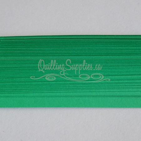 delightfully edgy gamma green cardstock strips 5mm