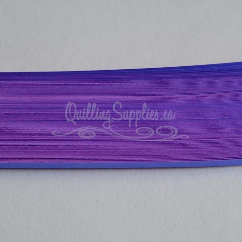 delightfully edgy double color purple cardstock strips 3mm