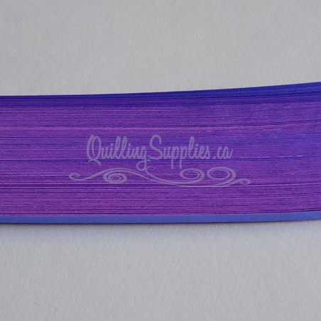 delightfully edgy double color purple cardstock strips 3mm