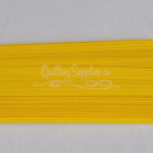 delightfully edgy solar yellow cardstock strips 3mm