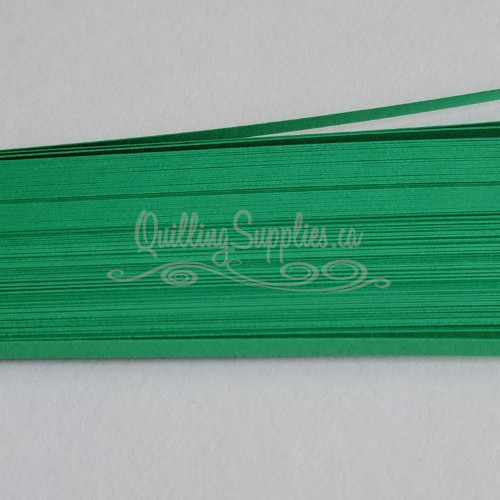 delightfully edgy gamma green cardstock strips 3mm