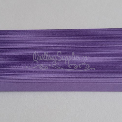 delightfully edgy sugar plum cardstock strips 5mm