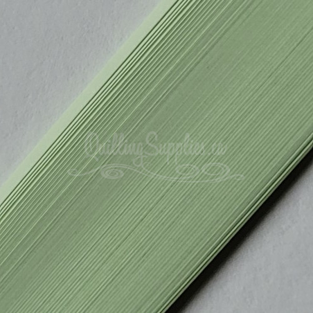 delightfully edgy tea green quilling paper