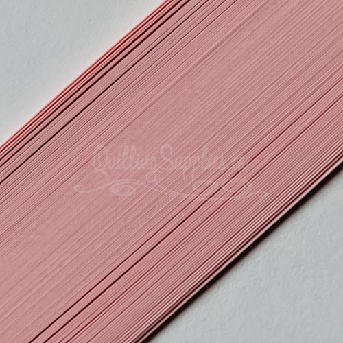 delightfully edgy carnation quilling paper