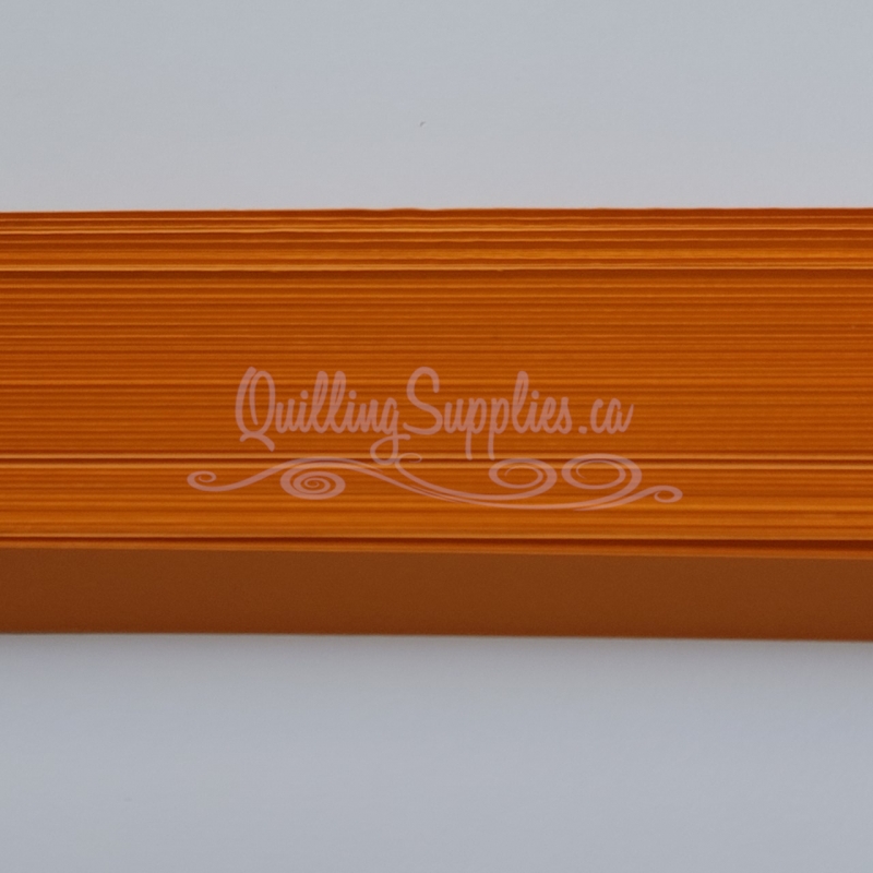 Delightfully Edgy mango quillography strips 176 gsm cardstock.