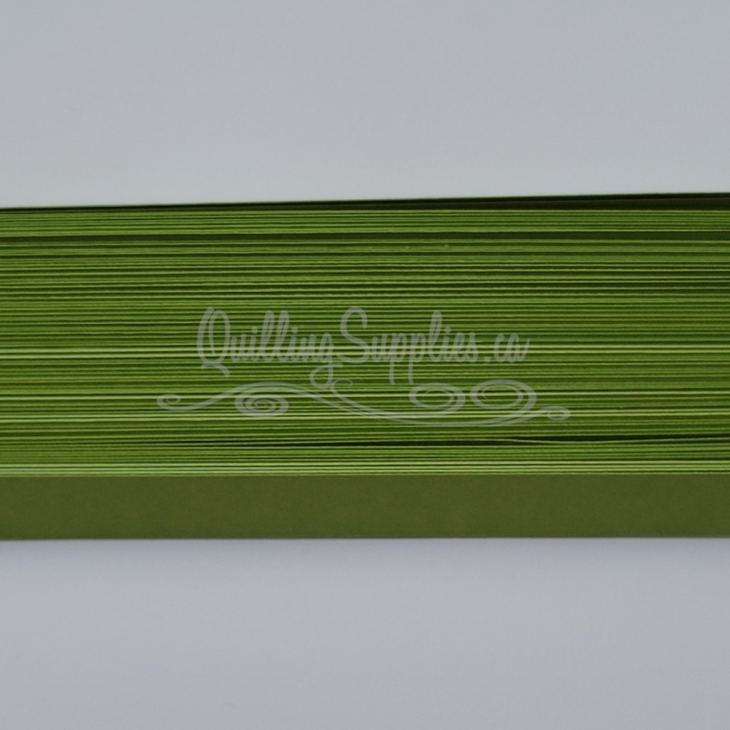 Delightfully Edgy olive quillography strips 176gsm cardstock