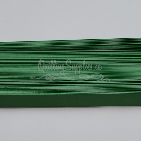 Delightfully Edgy fern green quillography strips 176gsm cardstock