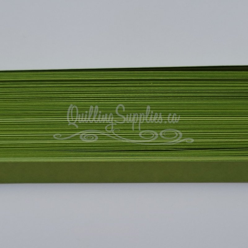 Delightfully Edgy olive quillography strips 176gsm cardstock
