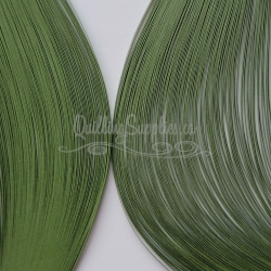 Delightfully Edgy Army Green quilling paper
