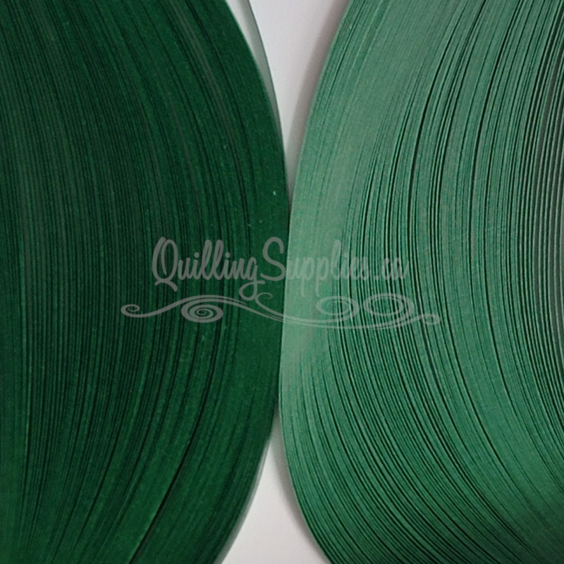 Delightfully Edgy Pine Green Quilling paper