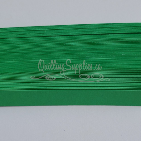 delightfully edgy gamma green cardstock strips 10mm